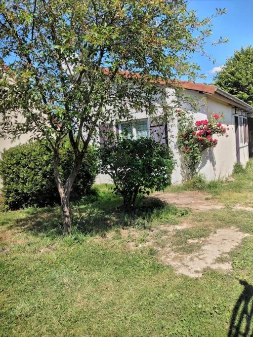 Maison Studio Individuelle Fraichement Renovee Paray-le-Frésil المظهر الخارجي الصورة